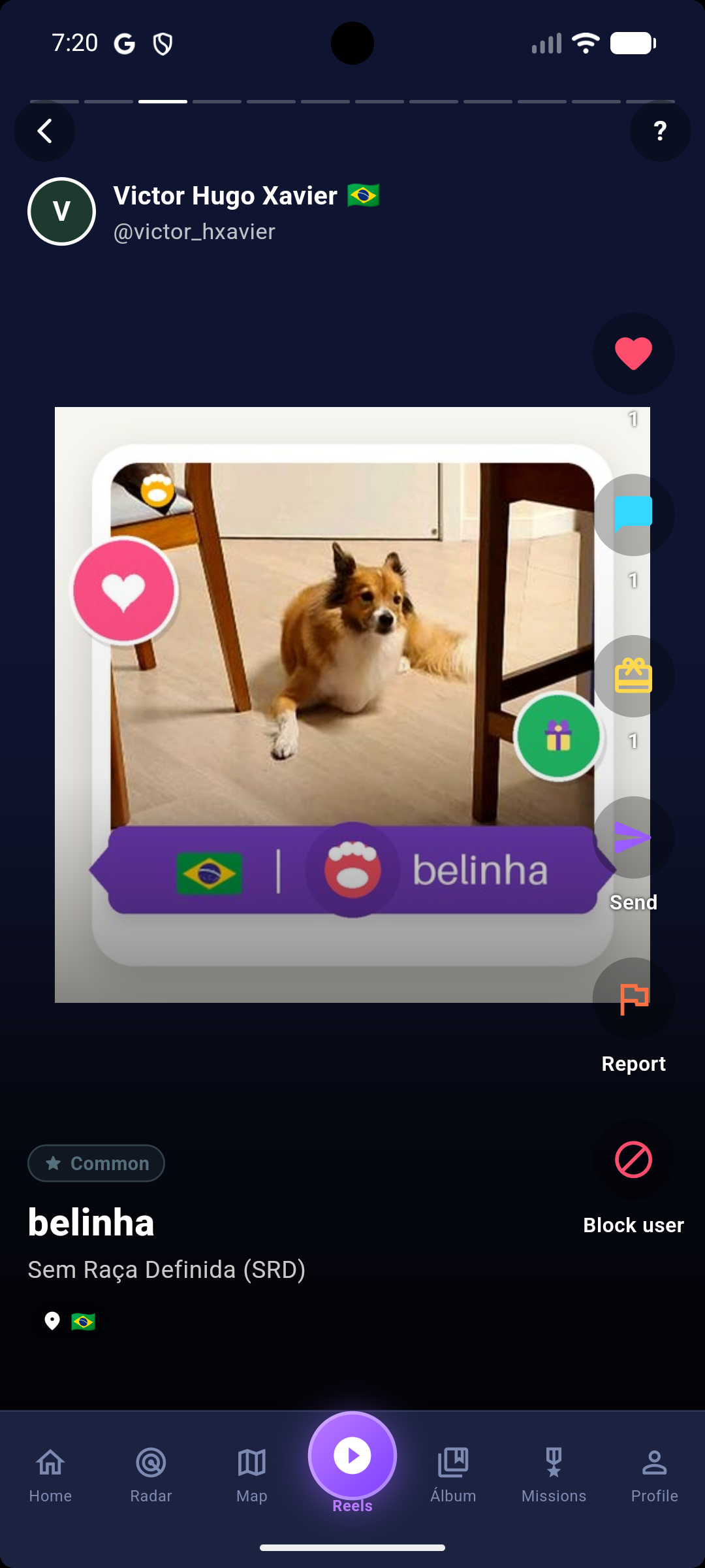 Feed do animal no GetDog